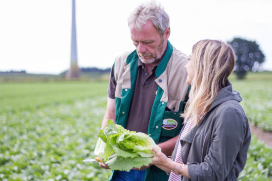 Mein Besuch bei REWE Regional Lieferant Behr Gemüsegarten Heavenlynn