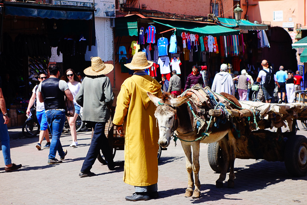 Marrakech Travel Guide - Mein Reisetagebuch, Tipps und Erfahrungen in Marrakesch - heavenlynnhealthy.com