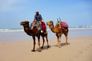 Marrakech Travel Guide - Mein Reisetagebuch, Tipps und Erfahrungen in Marrakesch - heavenlynnhealthy.com