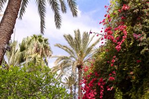 Marrakech Travel Guide - Mein Reisetagebuch, Tipps und Erfahrungen in Marrakesch - heavenlynnhealthy.com