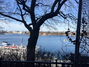 Hermans - das beste vegetarische Buffet in Stockholm - heavenlynnhealthy.com