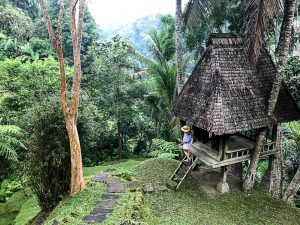 Como Shambala Resort Ubud - heavenlynnhealthy.com