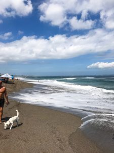 Gesunder Bali Guide (Teil 2) - Canggu: gesunde Unterkunft, Restaurants & Warungs - heavenlynnhealthy.com