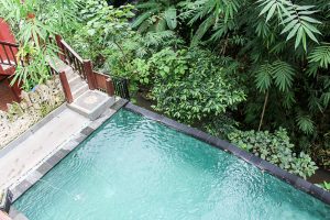 Gesunder Bali Guide (Teil 3) - Ubud, das gesunde Yoga- und Natur-Paradies - heavenlynnhealthy.com