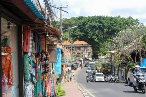 Gesunder Bali Guide (Teil 3) - Ubud, das gesunde Yoga- und Natur-Paradies - heavenlynnhealthy.com