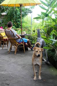 Gesunder Bali Guide (Teil 3) - Ubud, das gesunde Yoga- und Natur-Paradies - heavenlynnhealthy.com