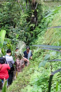 Gesunder Bali Guide (Teil 3) - Ubud, das gesunde Yoga- und Natur-Paradies - heavenlynnhealthy.com