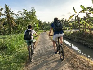 Gesunder Bali Guide (Teil 3) - Ubud, das gesunde Yoga- und Natur-Paradies - de.heavenlynnhealthy.com