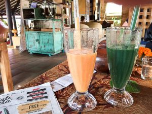 Gesunder Bali Guide (Teil 3) - Ubud, das gesunde Yoga- und Natur-Paradies - de.heavenlynnhealthy.com