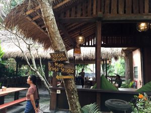 Gesunder Bali Guide (Teil 3) - Ubud, das gesunde Yoga- und Natur-Paradies - de.heavenlynnhealthy.com
