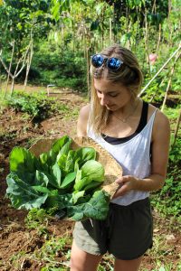 Gesunder Bali Guide (Teil 3) - Ubud, das gesunde Yoga- und Natur-Paradies - de.heavenlynnhealthy.com