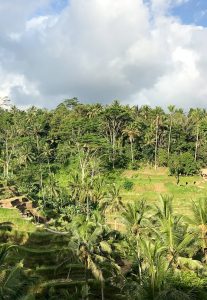 Gesunder Bali Guide (Teil 3) - Ubud, das gesunde Yoga- und Natur-Paradies - de.heavenlynnhealthy.com