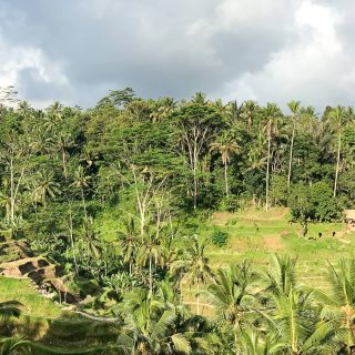 Gesunder Bali Guide (Teil 3) - Ubud, das gesunde Yoga- und Natur-Paradies - de.heavenlynnhealthy.com