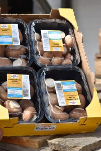 Schnelle Champignon-Hirse-Pfanne und ein Besuch beim REWE* Champignon-Produzenten - de.heavenlynnhealthy.com