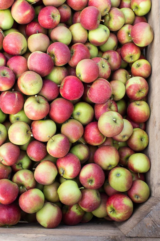 Gesündere Apfel-Zimtschnecken - rein pflanzlich, vegan, glutenfreie Option, ohne raffinierten Zucker - de.heavenlynnhealthy.com